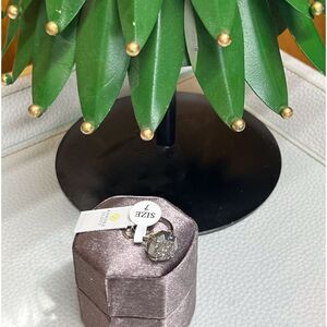 NWT Kendra Scott Daphne Silver Statement Ring in Platinum Drusy Size 7
